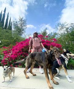 ખુબ જ હોટ અંદાજમાં પોતાના Dogs સાથે ઘરની બહાર નિકળી પ્રિયંકા ચોપરા, તસવીરો આવી સામે