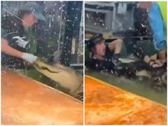 मगरमच्छ ने केयर टेकर को ही बना दिया निशाना, रोंगटे खड़े कर देगा वीडियो