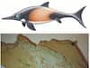 Fish-Like Marine Reptile From 150 Million Years Ago Found Uniquely Preserved In Germany
