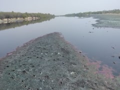 Rajasthan: NGT ने रिको पर लगाया लगाया 4 करोड़ का जुर्माना, प्रदूषण फैलाने वाली फैक्ट्रियां बंद करने के आदेश