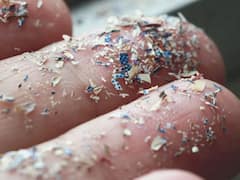 Plastic: ప్లాస్టిక్ కణాలు పొట్టలో చేరకుండా ఉండాలంటే ఈ జాగ్రత్తలు తీసుకోవాల్సిందే