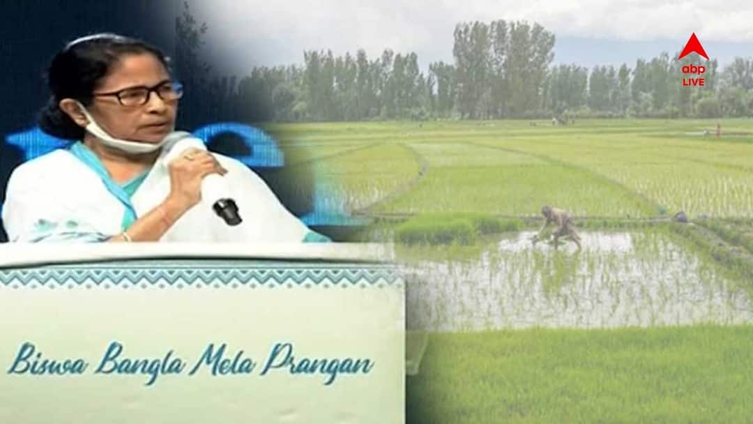 Mamata Banerjee West Bengal Government step to clear Land problems with Banglar Bhumi App Banglar Bhumi : 'জমি-জমার সমস্যায় ছুটতে হবে না ল্যান্ড অফিসে' সমাধানের খোঁজ মুখ্যমন্ত্রীর