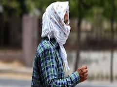Haryana Weather Update: हरियाणा में भीषण गर्मी में अभी नहीं आई कमी, बारिश के बाद मिलेगी राहत, चलने वाली हैं धूल भरी हवाएं