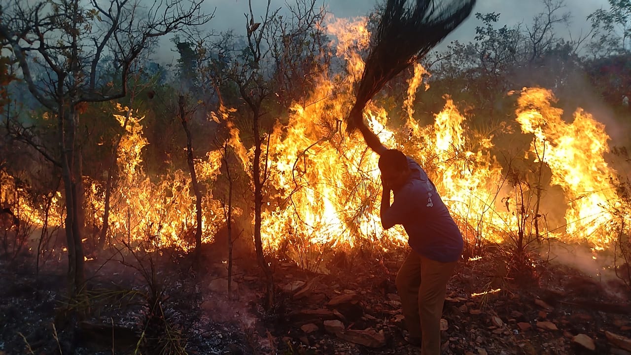 Tirupati Forest Fire : తిరుమల అటవీ ప్రాంతంలో కార్చిచ్చు, పది ఎకరాలు అగ్నికి ఆహుతి