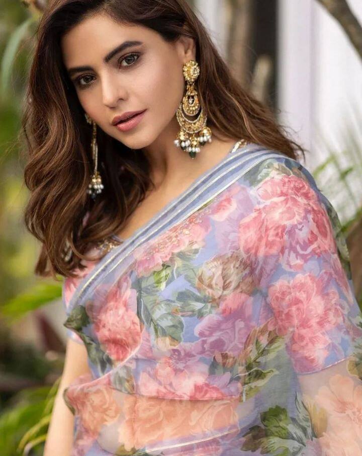 આમના શરીફનો દરેક અંદાજ ફેન્સને દિવાના બનાવે છે
