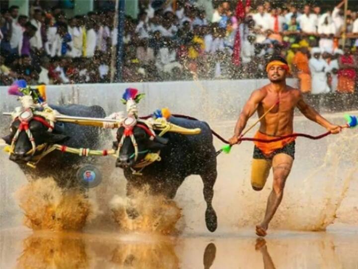 Karnataka Nishant Shetty breaks Srinivasa Gowda's record in Kambala Racing கம்பாலா உசைன் போல்ட், கெளடாவின் ரெக்கார்டை ஓடவிட்ட வாலிபன்... 100 மீட்டரை 8.36 வினாடிகளில் கடந்து அசத்தல்!