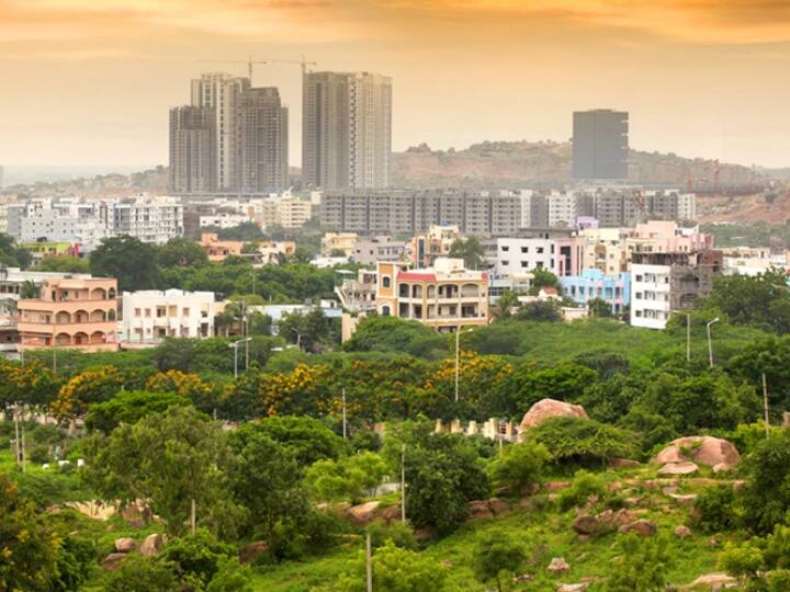 Hyderabad gets 'Tree City of the World’ tag for second year in a row Hyderabad Tree City :  ప్రపంచంలోనే హైదరాబాద్ స్పెషల్ - మరోసారి ఆ ఘనత సాధించిన భాగ్యనగరం !