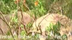 Jharkhand Ropeway Accident: Rescue operation paused after woman falls down | First on ABP News