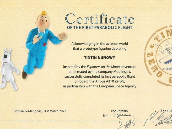 Tintin And Snowy Just Took To The Skies. What Is Their Space Mission About?