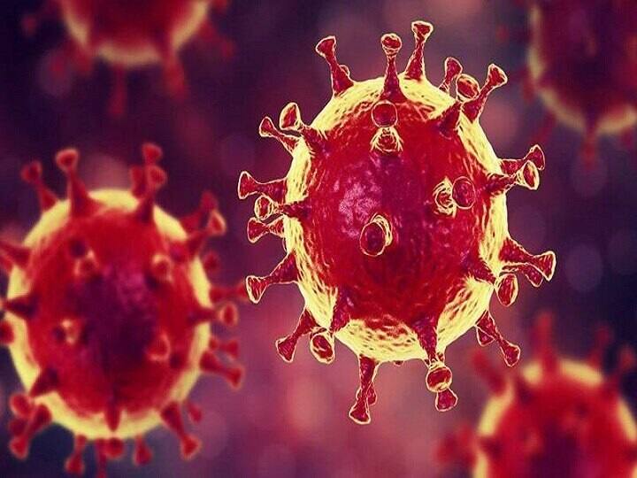 Coronavirus Affect on Male Fertility reveals in recent research by IIT Bombay know details पुरुषों की Fertility पर बुरा असर डाल रहा कोरोना!  IIT-बॉम्बे के रिसर्च से हुए चौकाने वाले खुलासे