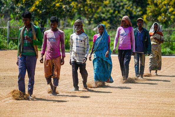 Telangana Cabinet To Buy Paddy From Farmers At MSP After Centre's Refusal