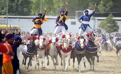 In Pics | Baisakhi Celebrations Kick Off In Punjab With Fervour And Bhangra