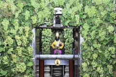 PHOTO : चैत्र एकादशीनिमित्त पंढरी सजली; विठ्ठल रखुमाईच्या राऊळीला द्राक्षांची आकर्षक आरास