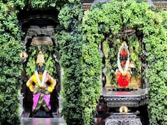 PHOTO : चैत्र एकादशीनिमित्त पंढरी सजली; विठ्ठल रखुमाईच्या राऊळीला द्राक्षांची आकर्षक आरास