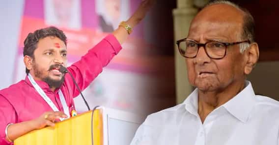 Sharad Pawar Silver Oak Attack : सिल्व्हर ओक हल्ल्याचा मास्टरमाइंड हा नागपूरचा, राष्ट्रवादीच्या आमदारांचा मोठा आरोप Sharad Pawar Silver Oak Attack : सिल्व्हर ओक हल्ल्याचा मास्टरमाइंड हा नागपूरचा, राष्ट्रवादीच्या आमदारांचा मोठा आरोप