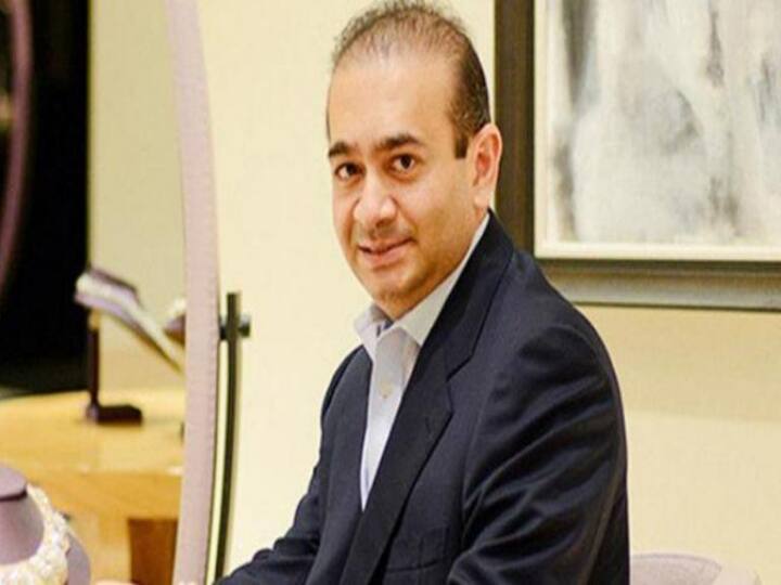 CBI brought Nirav Modi close friend from Cairo to India red corner notice was issued ann नीरव मोदी के करीबी को काहिरा से भारत लेकर आई CBI, जारी था रेड कॉर्नर नोटिस