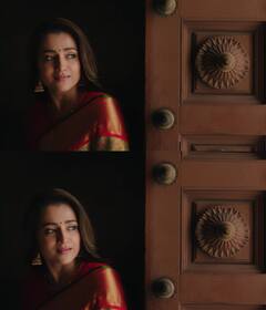 Actress Trisha: பகலிலும் நான் கண்ட கனவுகள் நனவாக.. நடிகை த்ரிஷா லேட்டஸ்ட் க்ளிக்ஸ் !