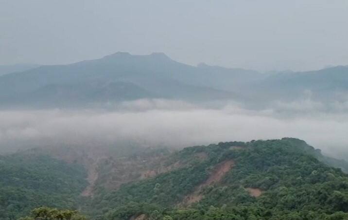 उन्हात अंगाची काहिली होत असताना तुमच्या डोळ्यांना सुखावणारी काही दृश्यं महाबळेश्वरमध्ये पाहायला मिळत आहेत.