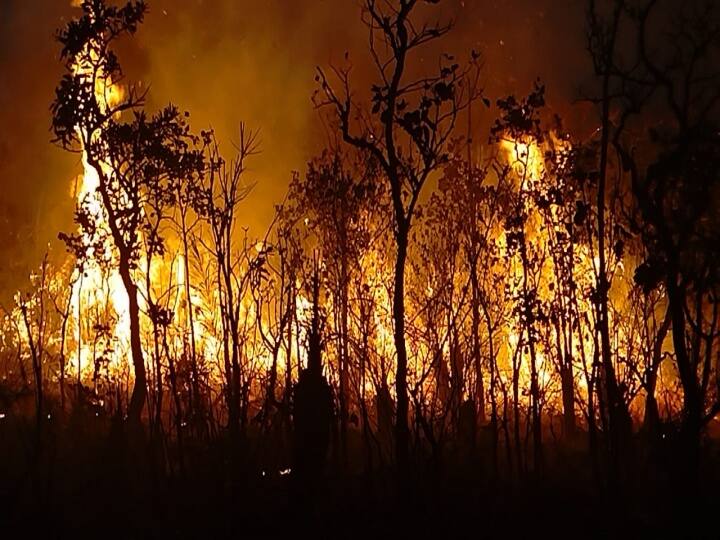 Tiruapati Sheshachalam Forest fire ten acres burned Tirupati Forest Fire : తిరుమల అటవీ ప్రాంతంలో కార్చిచ్చు, పది ఎకరాలు అగ్నికి ఆహుతి