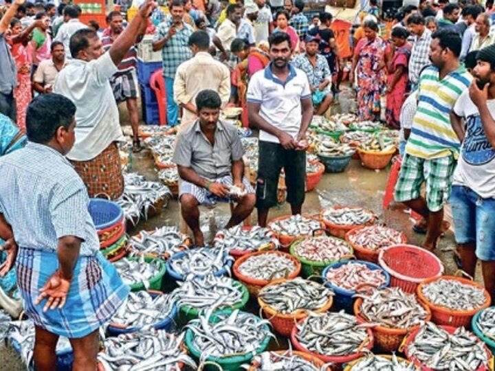 தமிழகம் மற்றும் புதுச்சேரியில் வரும் 15ஆம் தேதி முதல் மீன்பிடித் தடைக்காலம் தொடக்கம்