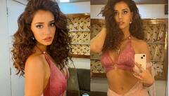 ਦਿਸ਼ਾ ਪਟਾਨੀ ਨੇ ਲਗਾਇਆ ਅਰਧ ਸੈਂਕੜਾ, 5 ਕਰੋੜ ਫਾਲੋਅਰਜ਼ ਦੀ ਖੁਸ਼ੀ 'ਚ ਅਦਾਕਾਰਾ ਨੇ ਸ਼ੇਅਰ ਕੀਤੀਆਂ ਤਾਬੜਤੋੜ ਤਸਵੀਰਾਂ