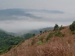 PHOTO : फॉग चल रहा है... महाबळेश्वरमध्ये उन्हाळ्यात धुकं, मिनी काश्मीरमध्ये निसर्गाची कमाल