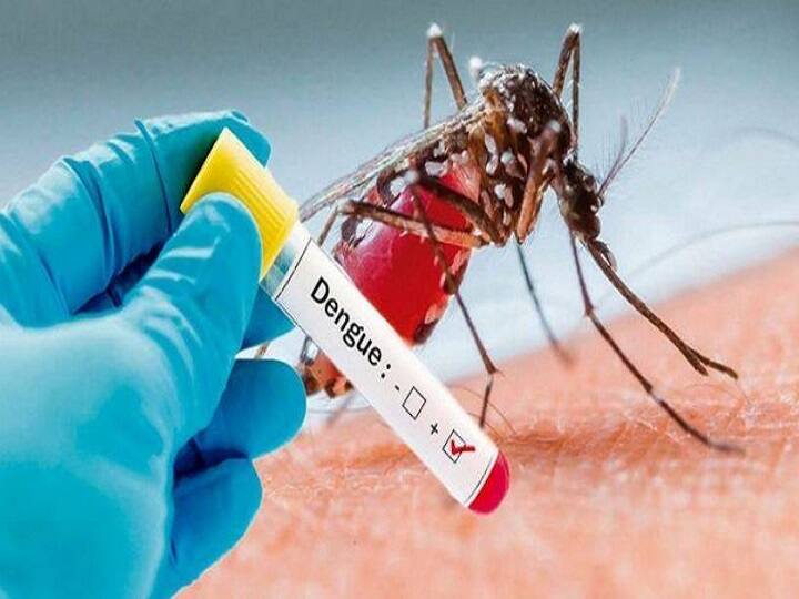 jodhpur anti dengue drive to run for seven days to control the spread ANN Jodhpur में 8 से 15 मई तक चलेगा डेंगू रोधी अभियान, घर-घर सर्वे कर बुखार के रोगियों को किया जाएगा चिन्हित