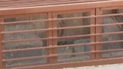 Qutub Minar की जाली में कैद भगवान Ganesha की आजादी पर लगा कोर्ट का ताला