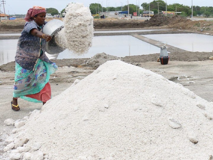 தூத்துக்குடியில் பருவம் தவறி பெய்யும் மழை - கடும்பாதிப்பை சந்திக்கும் உப்பளங்கள்...! உயர்கிறது உப்பு விலை