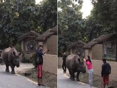सड़क पर आराम से घूमता नजर आया गैंडा, लोग भी लेने लगे सेल्फी, फिर जो हुआ...
