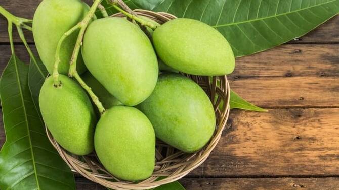 Raw Mango Is Beneficial For Health | ગુણોની ખાણ છે કાચી કેરી, ગરમીમાં કાચી  કેરીના સેવનના આ છે 7 અદભૂત ફાયદા