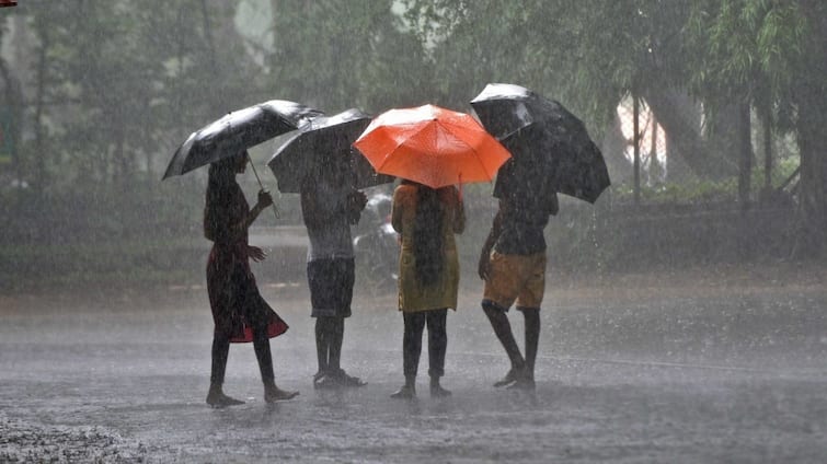 Skymet forecasts normal monsoon in the state this year આ વર્ષે ચોમાસુ કેવું રહેશે ? ખાનગી એજન્સી સ્કાયમેટે કરી મોટી આગાહી, જાણો વિગતે