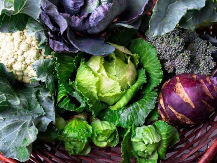 Should thyroid patients consume cruciferous vegetables Here is what experts say Thyroid: தைராய்டா? முட்டைக்கோஸ், காலிஃப்ளவர், ப்ரக்கோலி உண்ணலாமா? நிபுணர்கள் சொல்வது என்ன