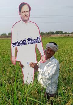 In Pics: ‘జయహో కేసీఆర్’ అంటున్న కరీంనగర్ రైతులు - పొల్లాల్లో భారీ కటౌట్లు, పాలాభిషేకాలు