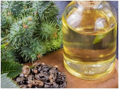 सेहत के लिए फायदेमंद हैं अरंडी के बीज, इस तरह करें इस्तेमाल