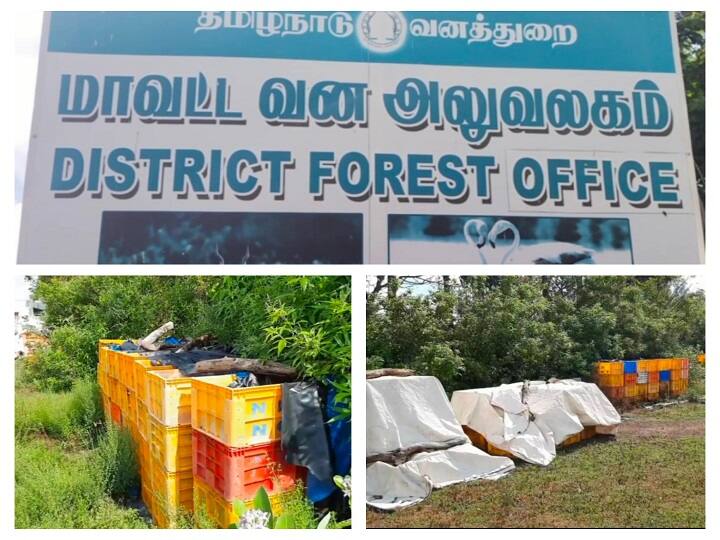 Rs 10 lakh worth sea cucumber missing at Nagapattinam forest office நாகை வனத்துறை அலுவலகத்தில் 10 லட்சம் மதிப்புள்ள 400 கிலோ கடல் அட்டைகள் மாயம்