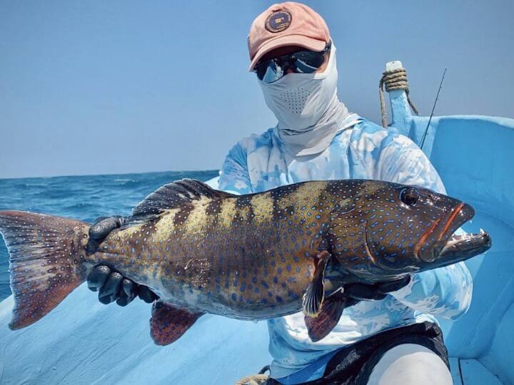 IPL 2022: Dale Steyn's Witty Reply To Fan's 'Bumrah Better Than You' Tweet Dale Steyn's Witty Reply To Fan's 'Bumrah Better Than You' Tweet