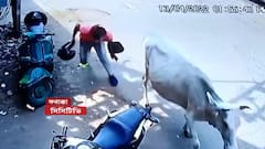 Bank Robbery: আগ্নেয়াস্ত্র দেখিয়ে ফরাক্কায় বেসরকারি ব্যাঙ্কে ডাকাতি। Bangla News