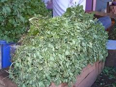 Durg News: दुर्ग में नींबू के बाद अब मेथी हुई महंगी, कीमत सौ रुपये प्रति किलो के पार