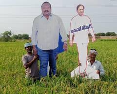 In Pics: ‘జయహో కేసీఆర్’ అంటున్న కరీంనగర్ రైతులు - పొల్లాల్లో భారీ కటౌట్లు, పాలాభిషేకాలు