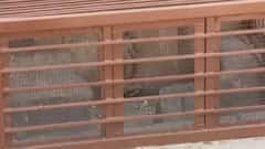 What is the controversy over claim of a 'temple in Qutub Minar' all about?