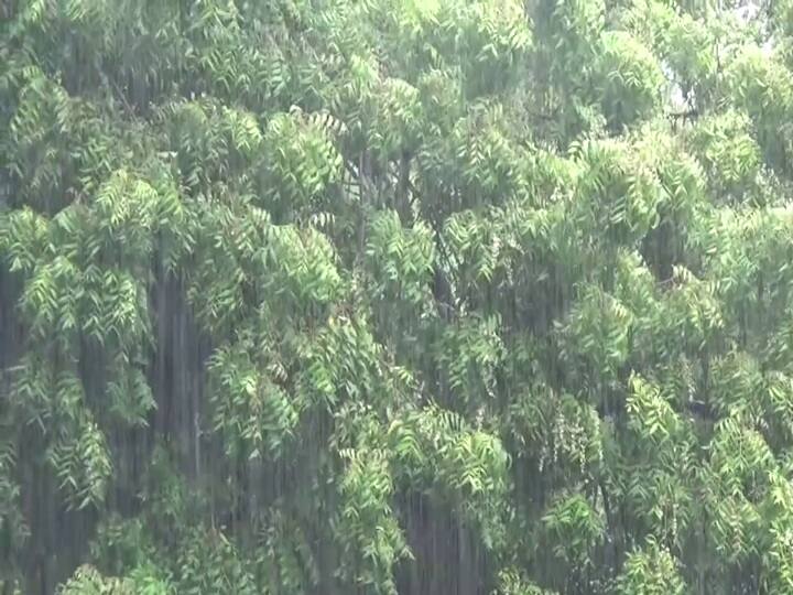 திருவாரூரில் 3 மணி நேரத்திற்கும் மேலாக கனமழை - பொதுமக்கள் மகிழ்ச்சி; விவசாயிகள் வேதனை