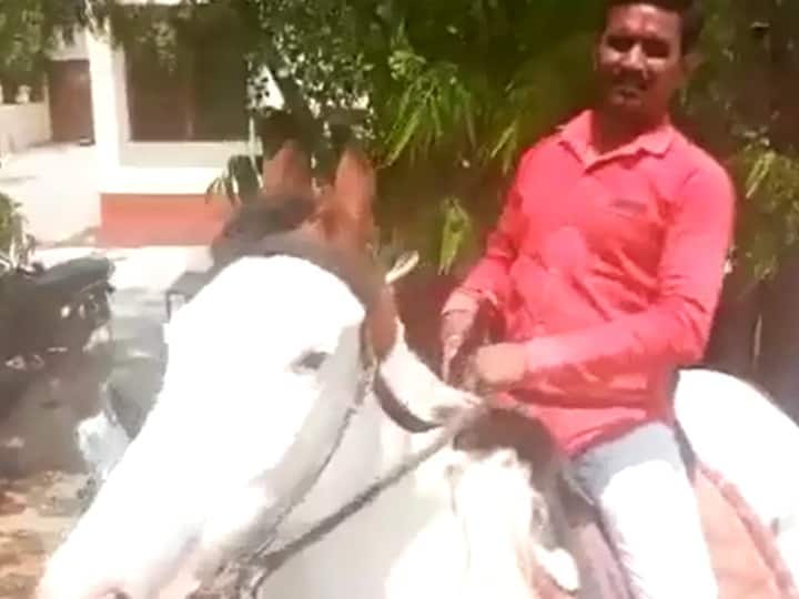 Rajasthan News: NI Act Section 138 accused reached by horse for appear in court in Ajmer ann Ajmer News: अजमेर में कोर्ट में पेशी के लिए घोड़े पर पहुंचा शख्स, वजह बताने पर हंसने लगे लोग