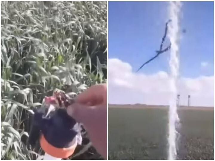 Farmer rescued poisonous snake trapped in water pipe in the field खेत में पानी के पाइप में फंसा नजर आया जहरीला सांप,  किसान ने किया रेस्क्यू