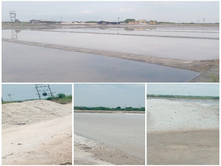 Unseasonal rains in Thoothukudi - Salts facing severe impact தூத்துக்குடியில் பருவம் தவறி பெய்யும் மழை - கடும்பாதிப்பை சந்திக்கும் உப்பளங்கள்...! உயர்கிறது உப்பு விலை