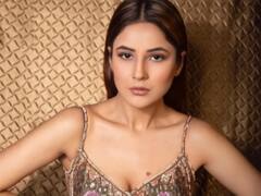 शहनाज गिल के वॉलपेपर को आखिर क्यों जूम करके देख रहे हैं फैंस? ये है पूरा माजरा