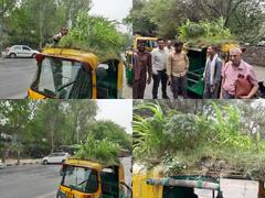 अजब गजब: दिल्ली में शख्स ने ऑटो की छत पर बनाया मिनी गार्डन, एसी-कूलर से ज्यादा रहता है ठंडा, देखें तस्वीर