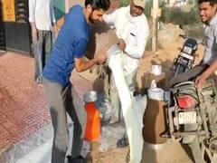 Rajasthan: महंगाई की मार के बीच बढ़ेंगे दूध के दाम, जानें कितने रुपये प्रति लीटर हो सकता है महंगा