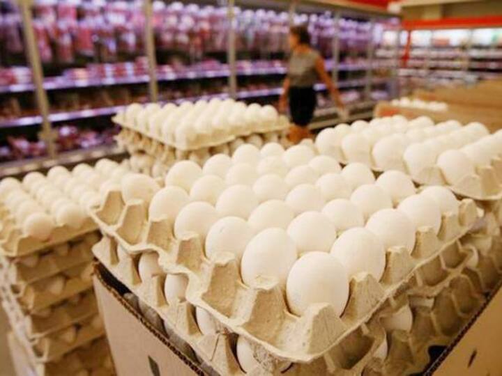 Despite opposition Karnataka government set to bring eggs on mid-day meal menu कर्नाटक के स्कूलों में मिड डे मील में मिलेगा अंडा! बीजेपी सरकार के फैसले का विपक्ष कर रहा विरोध