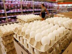 कर्नाटक के स्कूलों में मिड डे मील में मिलेगा अंडा! बीजेपी सरकार के फैसले का विपक्ष कर रहा विरोध